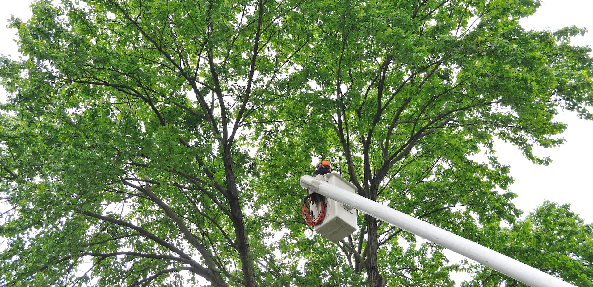 Serving The Wider Lehigh Valley