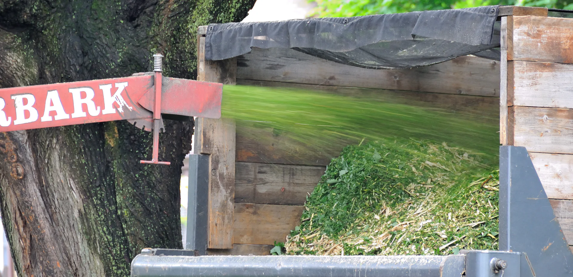 Removals, Pruning, Stump Grinding, Clean Up, And More...