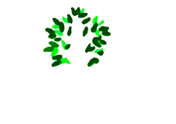 Tree of Life Logo - Walnutport, Slatington