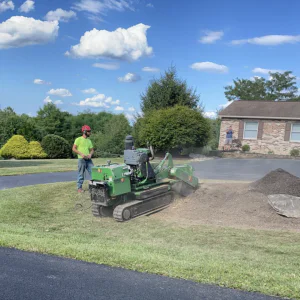 Stump grinding in Schnecksville