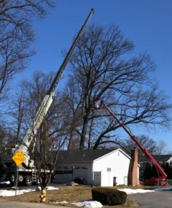 Tree Removal - Allentown, Bethlehem, Easton, Walnutport, Slatington, Lehigh Valley